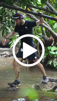 BIB:  <button type="button" onclick="openModal(27516594)" class="btn btn-primary btn-sm float-right" data-toggle="modal" data-target=".modal-high-quality">
                <i class="fa fa-download"></i> Download
                </button>